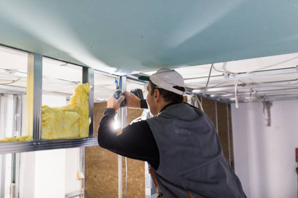 Best DIY Insulation Kits and Guidance in Briar, TX